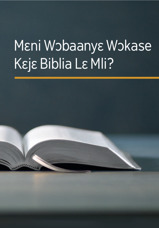 Mɛni Wɔbaanyɛ Wɔkase Kɛjɛ Biblia Lɛ Mli?