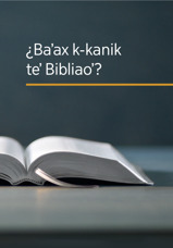 ¿Baʼax k-kanik teʼ Bibliaoʼ?