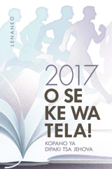 Lenaneo la Kopano ya 2017