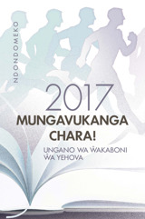 Ndondomeko ya Ungano ya 2017