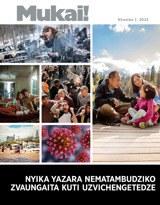 Nhamba 1 2022 | Nyika Yazara Nematambudziko​—⁠Zvaungaita Kuti Uzvichengetedze