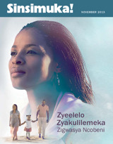 November 2013 | Zyeelelo Zyakulilemeka Zigwasya Ncobeni