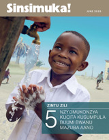 June 2015 | Zintu Zili 5—Nzyomukonzya Kucita Kusumpula Buumi Bwanu Mazuba Aano