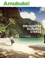 No. 1 2020 | Mbukonzya Kuzunda Stress

