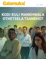 Na. 3 2020 | Kodi Kuli Mankhwala Othetsela Tsankho?
