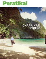 No. 1 2020 | Chara Napi Stress