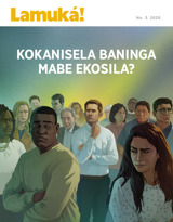 No 3 2020 | Kokanisela baninga mabe ekosila?
