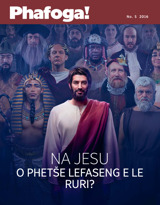 No. 5 2016 | Na Jesu o Phetše Lefaseng e le Ruri?