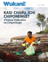 Na. 1 2023 | Kasi Charu Ichi Chiponenge?—Vifukwa Vyakuŵira na Chigomezgo