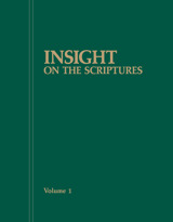 Insight on the Scriptures