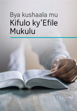 Bya kushaala mu kifulo ky’Efile Mukulu