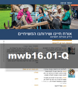 ינואר 2016