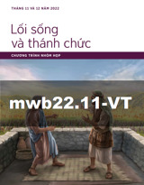 Tháng 11 và 12 năm 2022