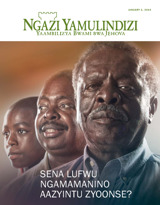 January 2014 | Sena Lufwu Ngamamanino Aazyintu Zyoonse?