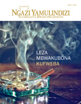 June 2014 | Leza Mbwakubona Kufweba