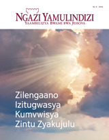 No. 6 2016 | Zilengaano Izitugwasya Kumvwisya Zintu Zyakujulu