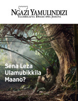 No. 3 2018 | Sena Leza Ulamubikkila Maano?