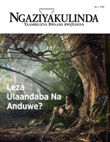 No. 3 2018 | Leza Ulaandaba Na Anduwe?