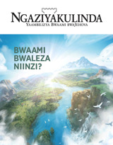 No. 2 2020 | Bwaami bwaLeza Niinzi?