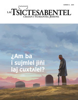 Núm. 3, 2019 | ¿Am ba i sujmlel jiñi laj cuxtʌlel?