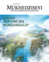 N.° 2 nya 2020 | Ginani Mufumo wa Nungungulu?