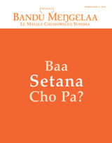 Bɛŋgufɔnɔɔ 2014 | Baa Setana Cho Pa?