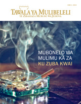 June 2014 | Mubonelo wa Mulimu ka za ku Zuba Kwai