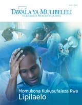 July 2015 | Momukona Kukusufaleza Kwa Lipilaelo