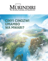N.º 2 2020 | Cinyi Cinozwi Umambo wa Mwari?