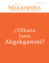 Noviembre kata 2014 | ¿Xlikana lama Akgskgawini?