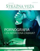 August 2013 | Pornografia — len neškodná zábava?