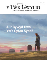 Rhif 3 2019 | Ai’r Bywyd Hwn Yw’r Cyfan Sydd?