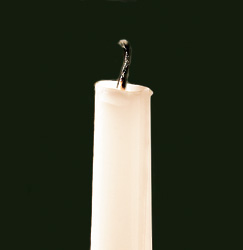Buji ekufi