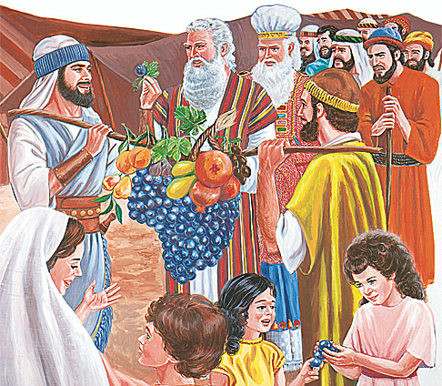 جاسوسان اسرائیلی میوه حمل میکنند