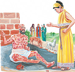 Kota kobela asara Job