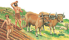 Adán gekus e machibo arbanaid