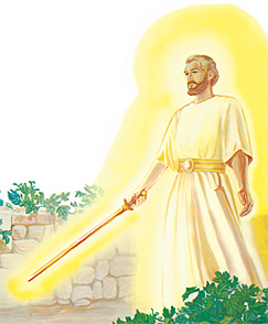 Ti ángel