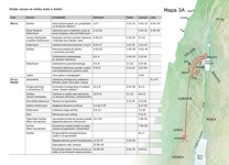 A7-C Najważniejsze wydarzenia z ziemskiego życia Jezusa: Służba Jezusa na wielką skalę w Galilei (część 1)