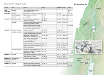 A7-G Svarbiausi Jėzaus gyvenimo žemėje įvykiai. Jėzaus tarnystės pabaiga Jeruzalėje (1 dalis)