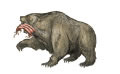 De beer die het Medisch-Perzische Rijk afbeeldt