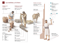 B14-A Las medidas y el dinero