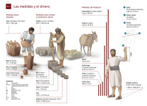 B14-A Las medidas y el dinero