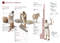 B14-A Medinakuna, qolqepiwan