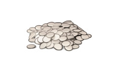 Një grumbull drahmash, 100 monedha me vlerë një minë