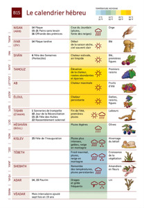 B15 Le calendrier hébreu