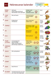 B15 Hebreeuwse kalender