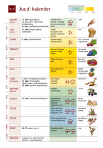 B15 Juudi kalender