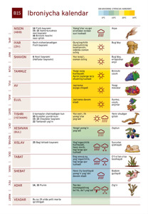 B15 Ibroniycha kalendar