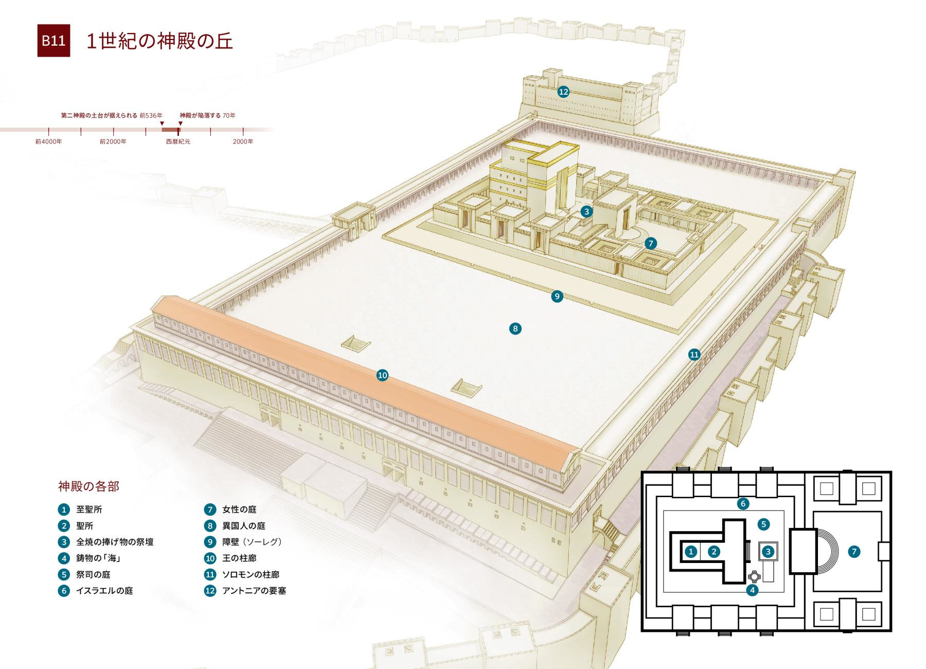 図解 1世紀のエルサレムの神殿の丘 新世界訳