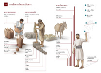 ข14-ก การชั่งตวงวัด